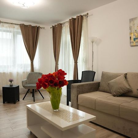Brigitte Apartment Braşov Buitenkant foto