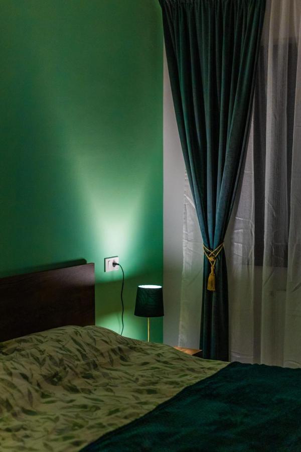 Brigitte Apartment Braşov Buitenkant foto
