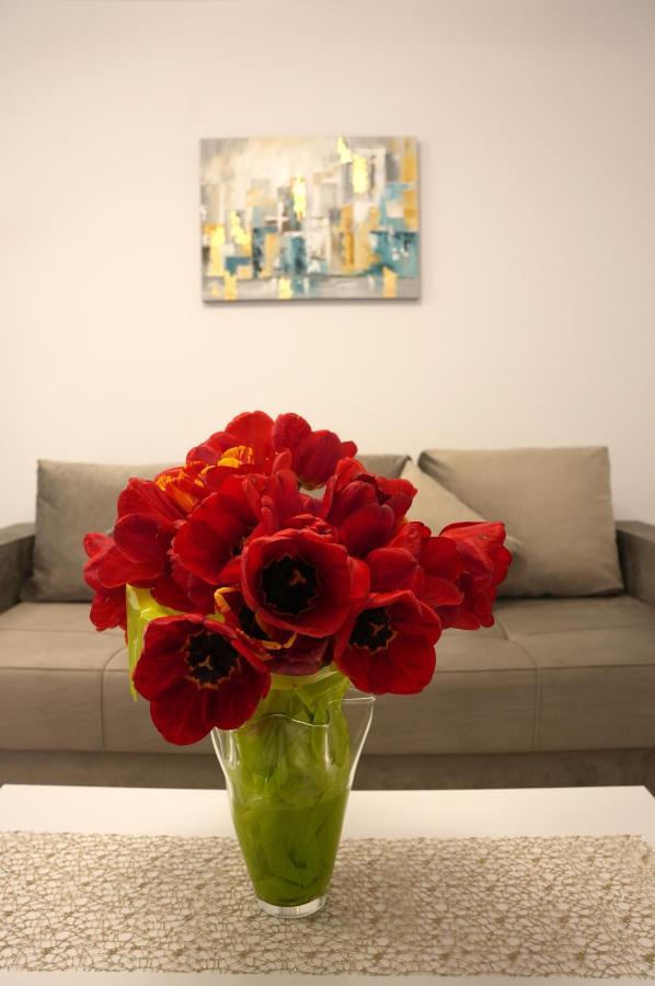 Brigitte Apartment Braşov Buitenkant foto